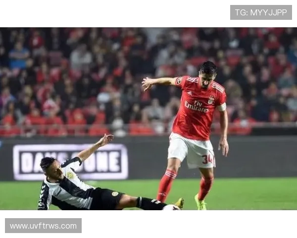 葡媒称球迷冲入球场企图袭裁判本菲卡恐遭主场空场三场处罚